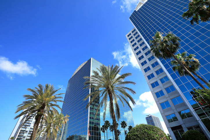 buildings with palm trees